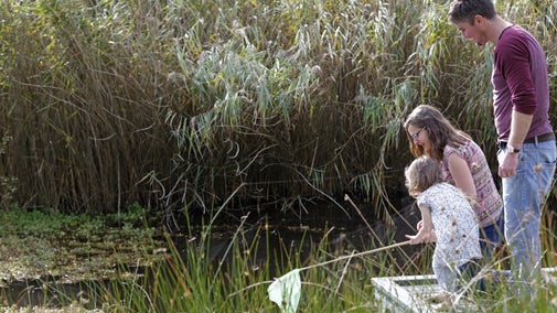 A mother, father and their daughter pond dipping at one of the ponds in the woodland at Dunwich Heath